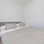 Apartman Crnekovic Ix *