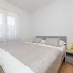 Apartman Crnekovic Ix *